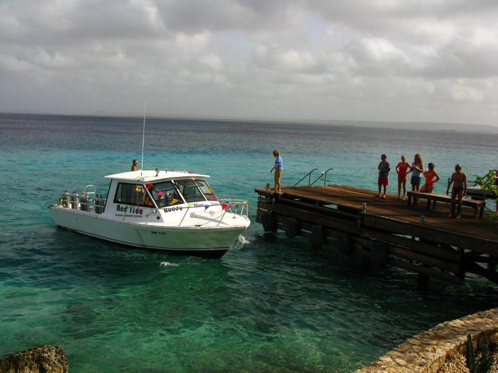 Belmar Oceanfront Apartments Bonaire Eksteriør billede