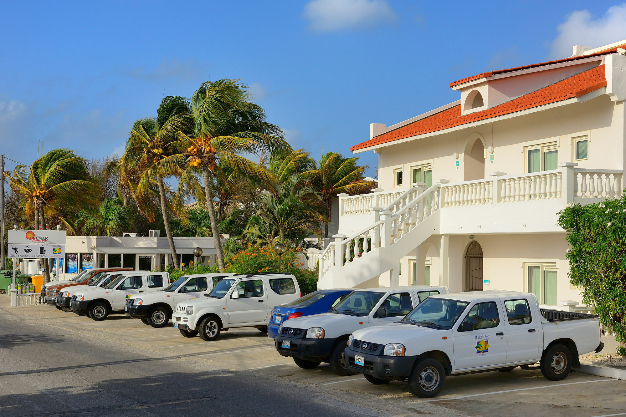 Belmar Oceanfront Apartments Bonaire Eksteriør billede