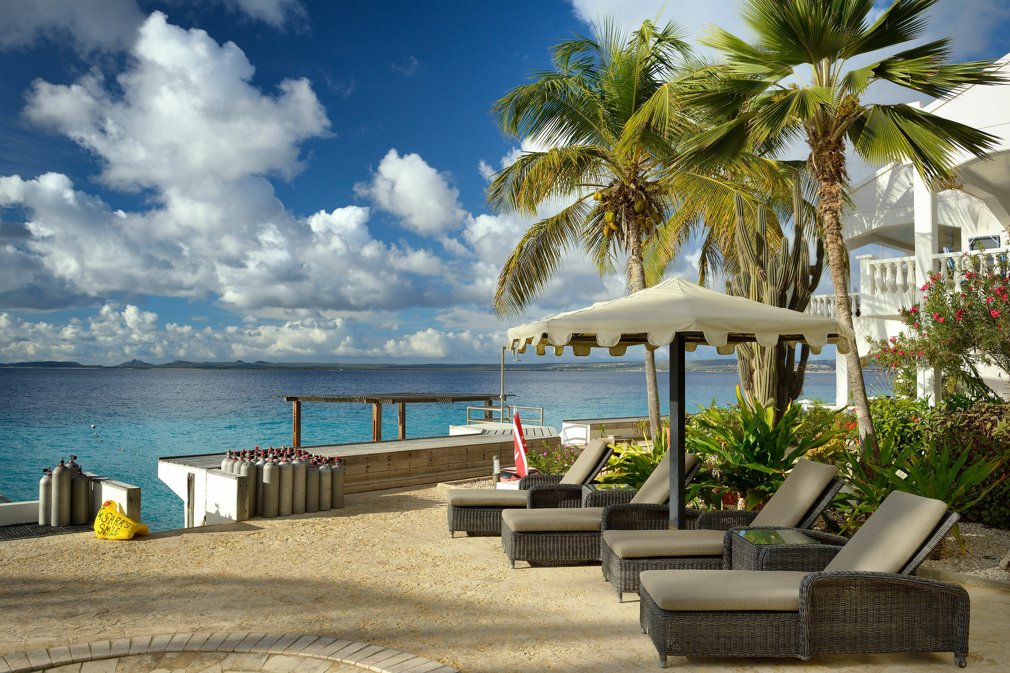 Belmar Oceanfront Apartments Bonaire Eksteriør billede
